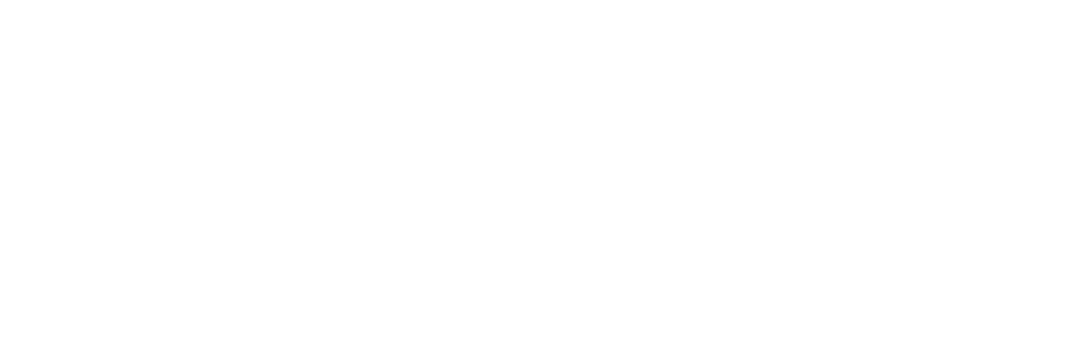FATI Logo